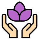 Hair Spa en Mallorca Hair Spa en Mallorca